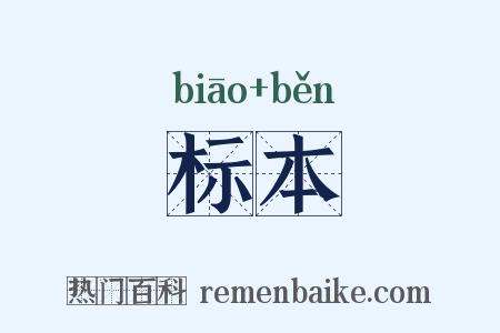 标本是什么意思的图片